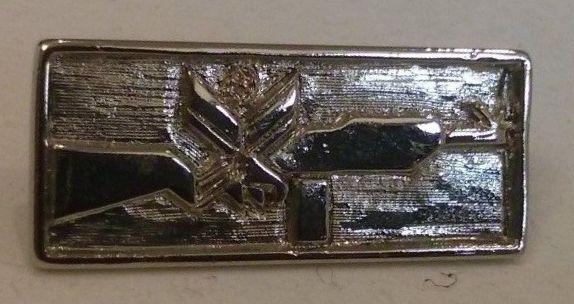 Israel Civil Guard Badge