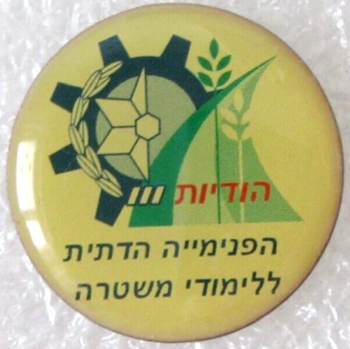 Israel Police Education Facilities pin