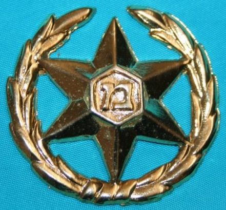 Israel Police Hat badge