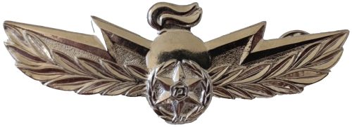 Israel Police Pin Badge