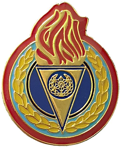 Israel Police Pin Badge
