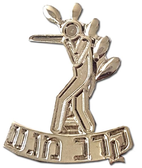Israel Police Pin Badge