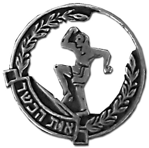 Israel Police Pin Badge
