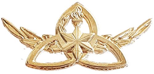 Israel Police Pin Badge