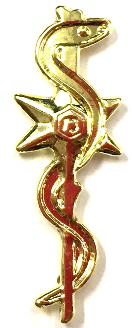 Israel Police Pin Badge