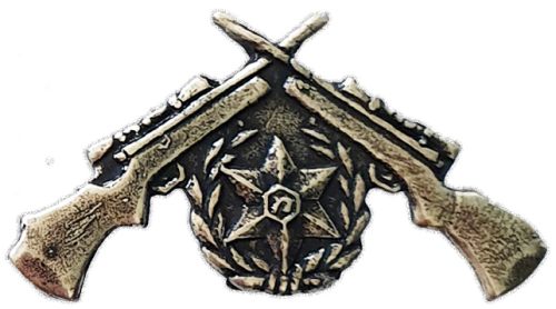 Israel Police Pin Badge
