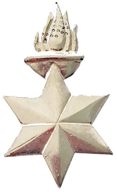 Israel Police Pin Badge