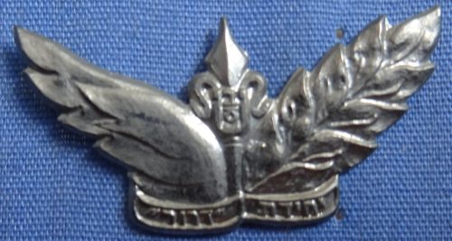 Israel Prison Service badge