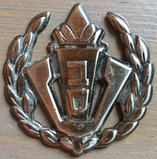 Israel Prison Service badge