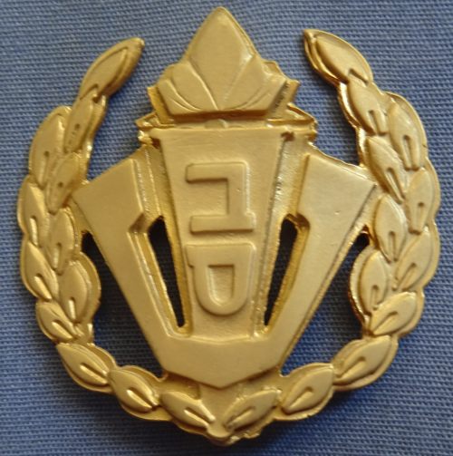 Israel Prison Service badge