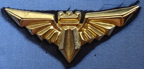 Israel Prison Service badge