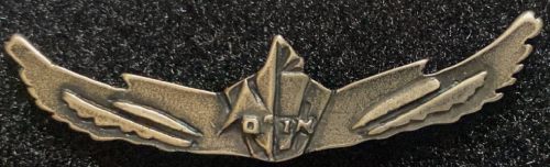Israel Prison Service badge