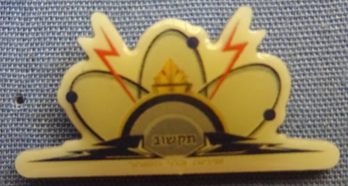 Israel Prison Service badge
