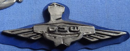 Israel Prison Service badge