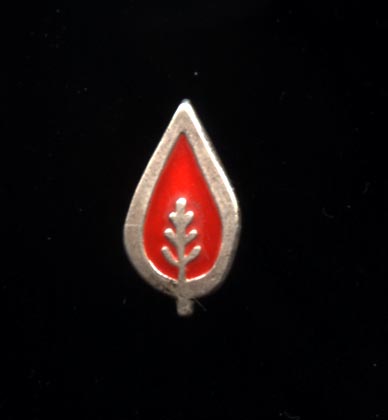 Israel: Badge for bereaved family