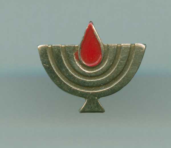 Decoration of State Warriors - civilian version