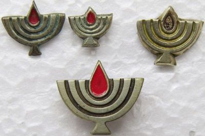 Different versions of the State Warriors Decoration&nbsp;
