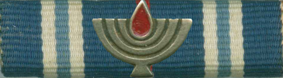 State Warriors clasp on Independence Ribbon