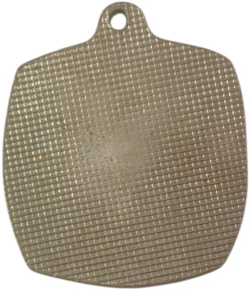 Gilboa March Medal