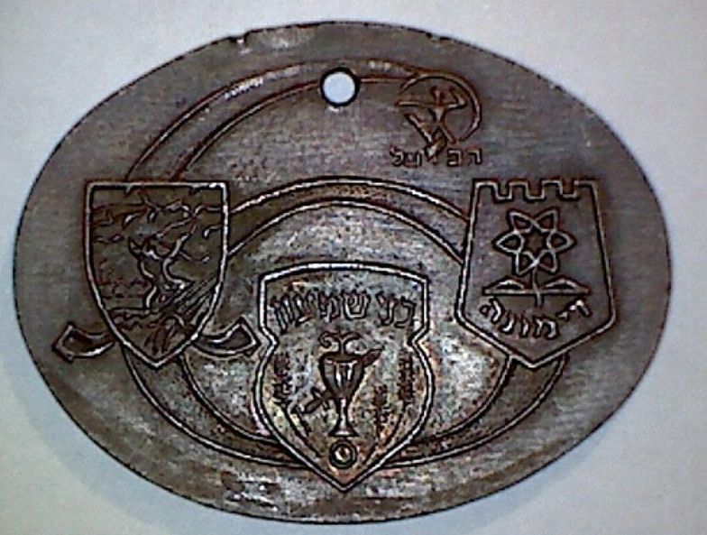 Negev March Medal