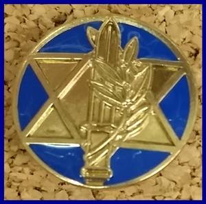 pin 50 year Decorations  blue