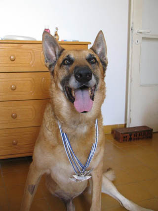 IDF Dog unit Oketz