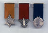 IDF decorations in acrylic block