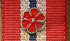Etzal medal- Clasp for wounded